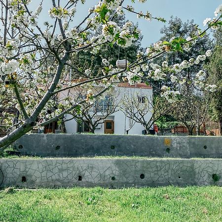 فيلا Milea Mansion ليماسول المظهر الخارجي الصورة